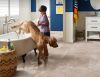 Transform Kitchens, Bathrooms, and Showers with Timeless Tile